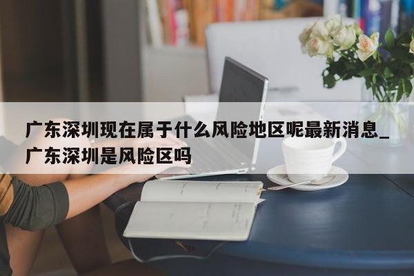 广东深圳现在属于什么风险地区呢最新消息_广东深圳是风险区吗-第1张图片