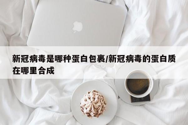 新冠病毒是哪种蛋白包裹/新冠病毒的蛋白质在哪里合成-第1张图片