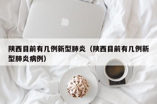 陕西目前有几例新型肺炎（陕西目前有几例新型肺炎病例）-第1张图片