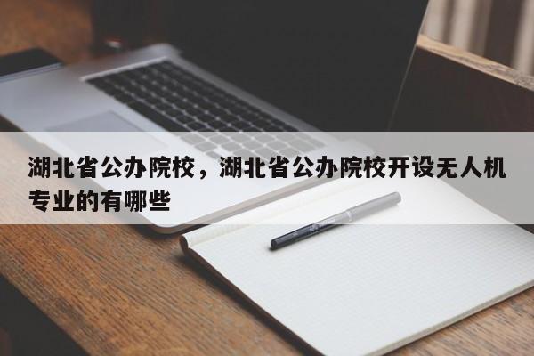 湖北省公办院校，湖北省公办院校开设无人机专业的有哪些-第1张图片