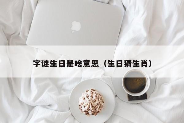 字谜生日是啥意思（生日猜生肖）-第1张图片