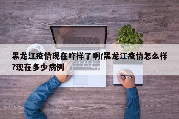黑龙江疫情现在咋样了啊/黑龙江疫情怎么样?现在多少病例-第1张图片