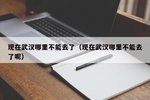 现在武汉哪里不能去了（现在武汉哪里不能去了呢）-第1张图片