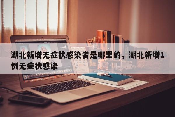 湖北新增无症状感染者是哪里的，湖北新增1例无症状感染-第1张图片