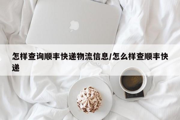 怎样查询顺丰快递物流信息/怎么样查顺丰快递-第1张图片