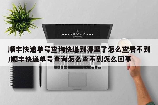 顺丰快递单号查询快递到哪里了怎么查看不到/顺丰快递单号查询怎么查不到怎么回事-第1张图片