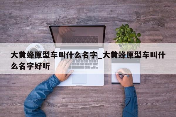 大黄蜂原型车叫什么名字_大黄蜂原型车叫什么名字好听-第1张图片