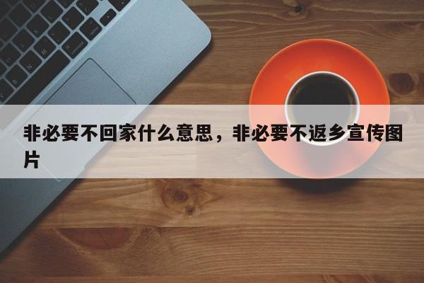 非必要不回家什么意思，非必要不返乡宣传图片-第1张图片