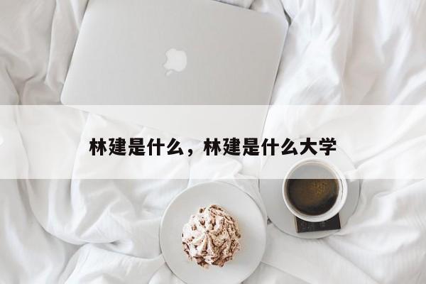 林建是什么，林建是什么大学-第1张图片
