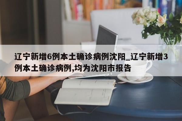辽宁新增6例本土确诊病例沈阳_辽宁新增3例本土确诊病例,均为沈阳市报告-第1张图片